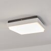 Gomero Plafoniera da esterno LED Antracite, Bianco, 1-Luce