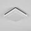 Gomero Plafoniera da esterno LED Antracite, Bianco, 1-Luce