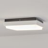 Gomero Plafoniera da esterno LED Antracite, Bianco, 1-Luce