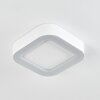 Paleroo Plafoniera da esterno LED Bianco, 1-Luce