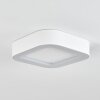 Paleroo Plafoniera da esterno LED Bianco, 1-Luce