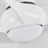 Malloa ventilatore da soffitto LED Bianco, 1-Luce, Telecomando