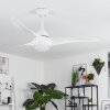 Malloa ventilatore da soffitto LED Bianco, 1-Luce, Telecomando