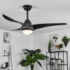 Malloa ventilatore da soffitto LED Nero, 1-Luce, Telecomando