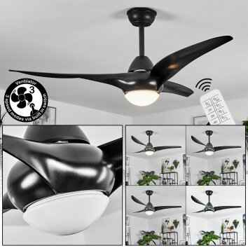 Malloa ventilatore da soffitto LED Nero, 1-Luce, Telecomando