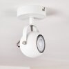 Gadmen Plafoniera Cromo, Bianco, 1-Luce