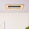 Brilliant Rhea Plafoniera LED Marrone, Nero, 1-Luce