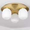Pintacura Plafoniera Ottone, 3-Luci