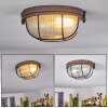 Chaquire Plafoniera Marrone, Ruggine, 1-Luce