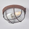 Chaquire Plafoniera Marrone, Ruggine, 1-Luce