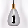 Lincura Lampadario a sospensione Ottone, Nero, 1-Luce