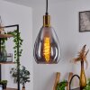 Lincura Lampadario a sospensione Ottone, Nero, 1-Luce