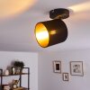 Plafoniera Alsen Nero, 1-Luce