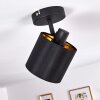 Plafoniera Alsen Nero, 1-Luce