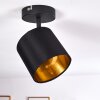 Plafoniera Alsen Nero, 1-Luce