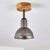 Plafoniera Tholen Marrone, 1-Luce