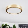 Finsrud Plafoniera LED Oro, 1-Luce