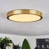 Finsrud Plafoniera LED Oro, 1-Luce