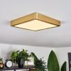 Finsrud Plafoniera LED Oro, 1-Luce