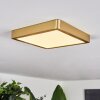 Finsrud Plafoniera LED Oro, 1-Luce