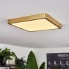 Finsrud Plafoniera LED Oro, 1-Luce