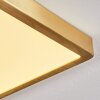 Finsrud Plafoniera LED Oro, 1-Luce