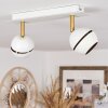 Tome Plafoniera LED Ottone, Bianco, 2-Luci