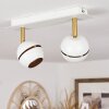 Tome Plafoniera LED Ottone, Bianco, 2-Luci