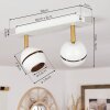 Tome Plafoniera LED Ottone, Bianco, 2-Luci