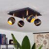 Tome Plafoniera LED Ottone, Nero, 4-Luci