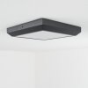 Alkmaar Plafoniera da esterno LED Antracite, 1-Luce