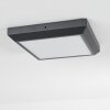 Alkmaar Plafoniera da esterno LED Antracite, 1-Luce