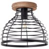 Brilliant Avia Plafoniera Nero, 1-Luce