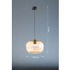 Fischer & Honsel Ink Lampadario a sospensione Nero, 1-Luce