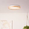 Brilliant Alson Plafoniera LED Bianco, 1-Luce