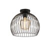 Fischer & Honsel Wire Plafoniera Nero, 1-Luce