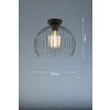 Fischer & Honsel Wire Plafoniera Nero, 1-Luce