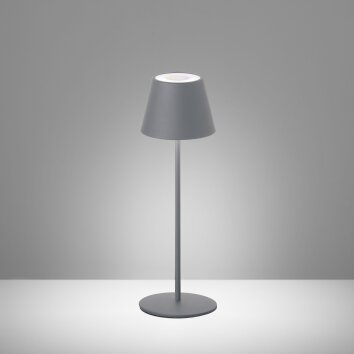 FHL easy Cosenza Lampada da tavolo LED Grigio, 1-Luce, Cambia colore