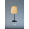 FHL easy Palina Lampada da tavolo Nero, 1-Luce