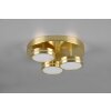 Trio Franklin Plafoniera LED Ottone, 3-Luci