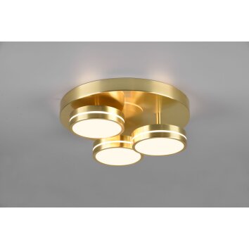 Trio Franklin Plafoniera LED Ottone, 3-Luci