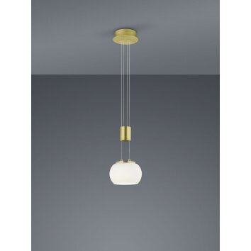 Trio Madison Lampadario a sospensione LED Ottone, 1-Luce