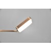 Trio Pavia Lampada da tavolo LED Ottone antico, 1-Luce