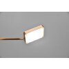 Trio Pavia Lampada da tavolo LED Ottone antico, 1-Luce