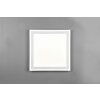 Reality Carus Plafoniera LED Bianco, 2-Luci