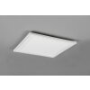 Reality Carus Plafoniera LED Bianco, 2-Luci