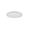 Reality Carus Plafoniera LED Bianco, 2-Luci