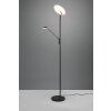 Trio Brantford Piantana LED Nero, 1-Luce