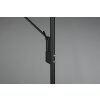 Trio Brantford Piantana LED Nero, 1-Luce