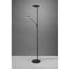 Trio Brantford Piantana LED Nero, 1-Luce